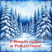 Вариант №62