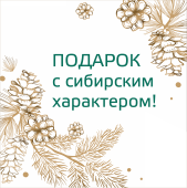 Вариант №5