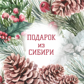 Вариант №25