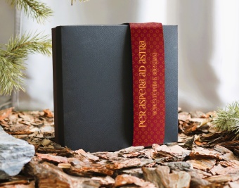 Подарочный набор «Бизнес №2»